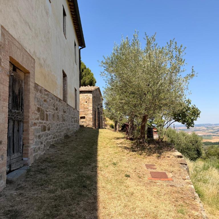 Nuovissimo Loft panoramico con giardino a Montalcino - Apartment mit 1 Schlafzimmer und Gartenblick - 2