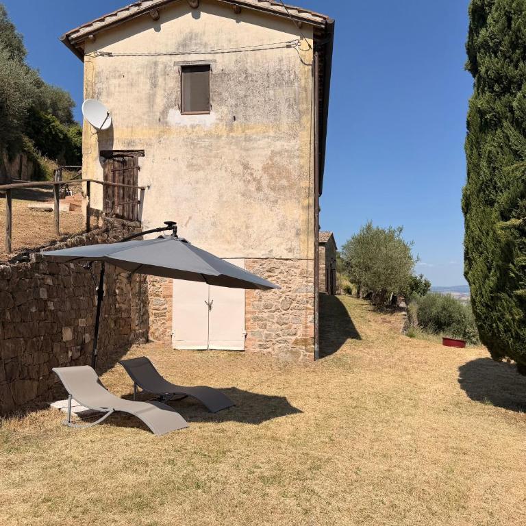 Nuovissimo Loft panoramico con giardino a Montalcino - Apartment mit 1 Schlafzimmer und Gartenblick - 6