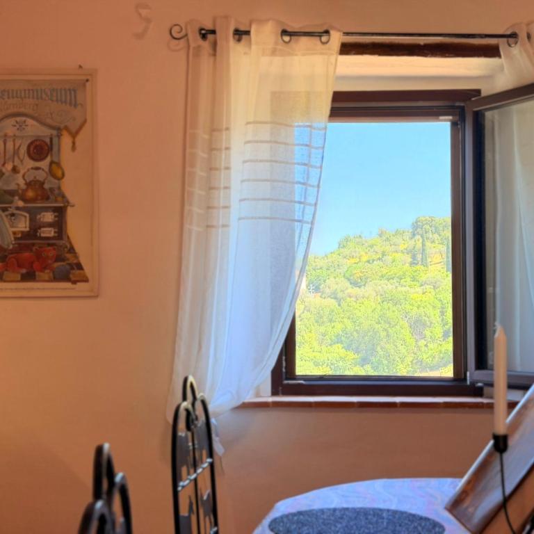Nuovissimo Loft panoramico con giardino a Montalcino - Apartment mit 1 Schlafzimmer und Gartenblick - 17