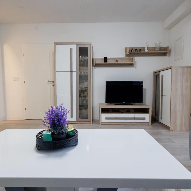 Vila Aldina Apartment 3 - Apartman sa 2 Spavaće Sobe - 9