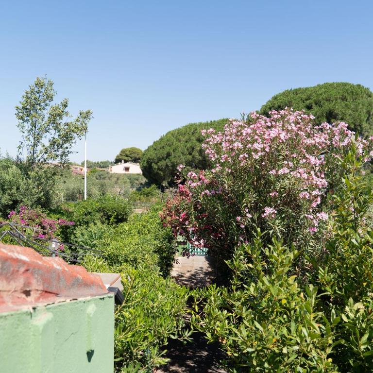 Apartment Sa Mariposa - Appartamento con 1 Camera da Letto - 24
