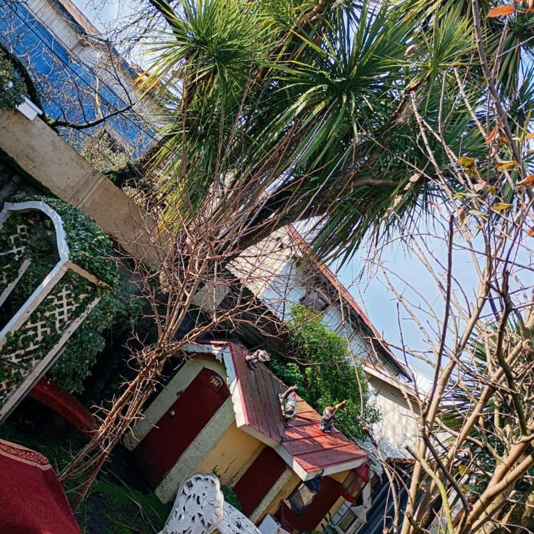 Hostal y Cabañas Guaje - Apartamento de 1 dormitorio - 7