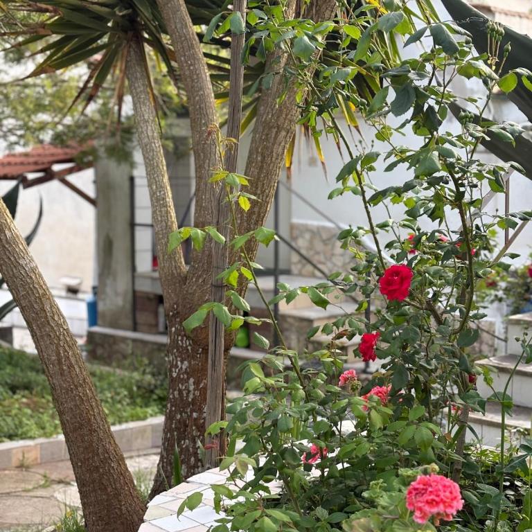 The Roses House, Fondo San Vito - Casa con 2 Camere da Letto - 14