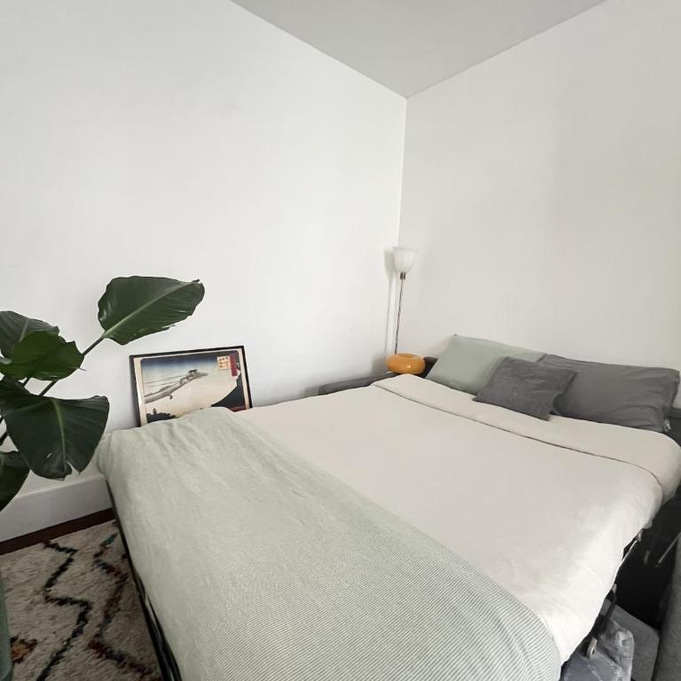 Charmant studio Parisien - Panthéon - Appartement 1 Chambre - 10
