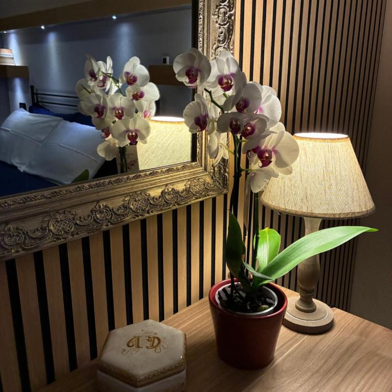 Casa Leonardo a Poggi - Casa con 2 Camere da Letto - 2