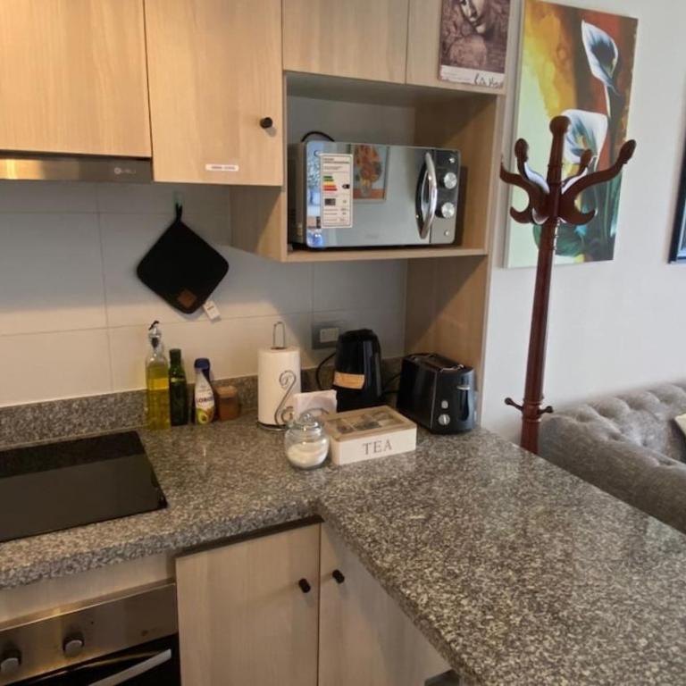 Departamento - Centro de Temuco - Apartamento de 1 dormitorio - 7