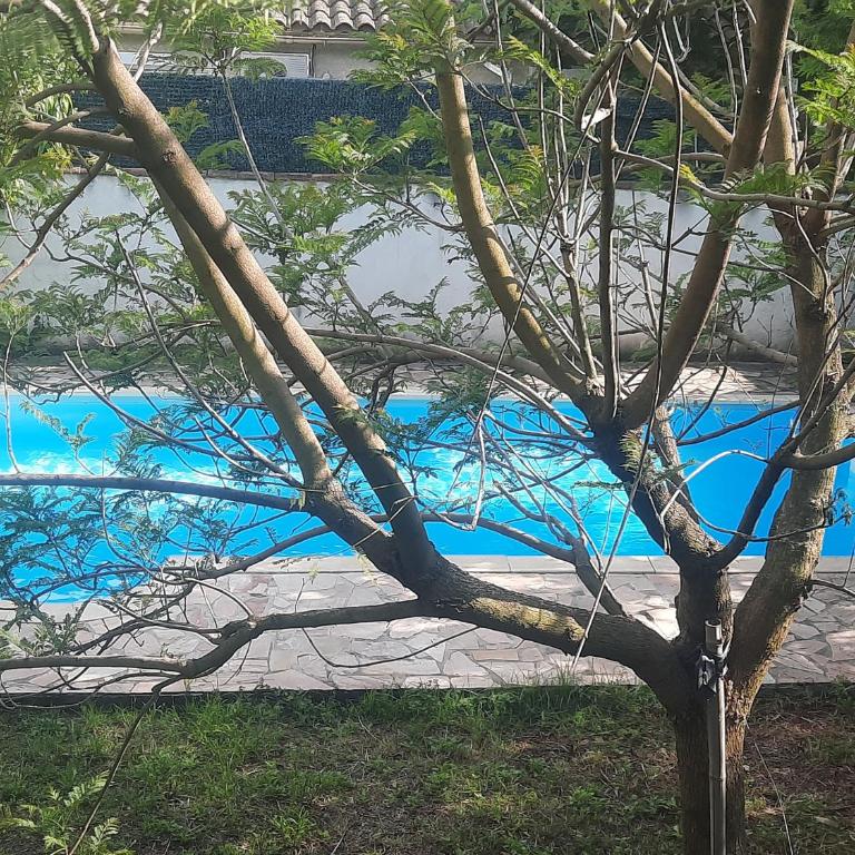 La maison blanche , piscine partagée 5min d'Avignon - Apartment mit Poolblick - 3