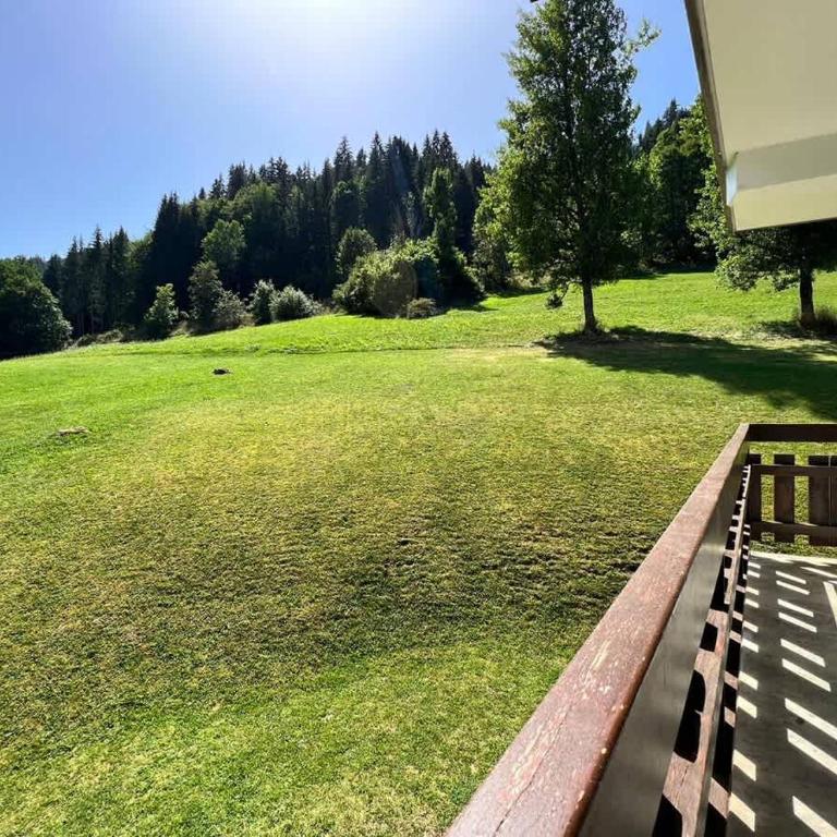 Central Location Walk to Ski Lift Sleeps 5 - Apartment - 25