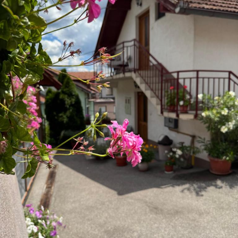Apartment SAFIR Sarajevo- Free parking - Double Room with Park View - 8