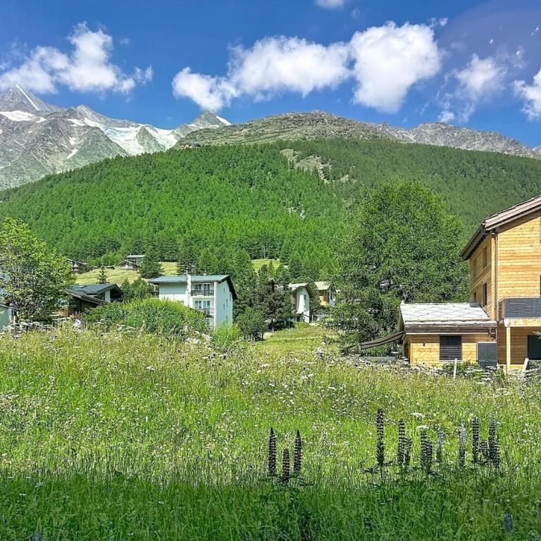 Balmi Mountain Apartment - 2BR - Sleeps 6 - Apartment mit 2 Schlafzimmern - 46