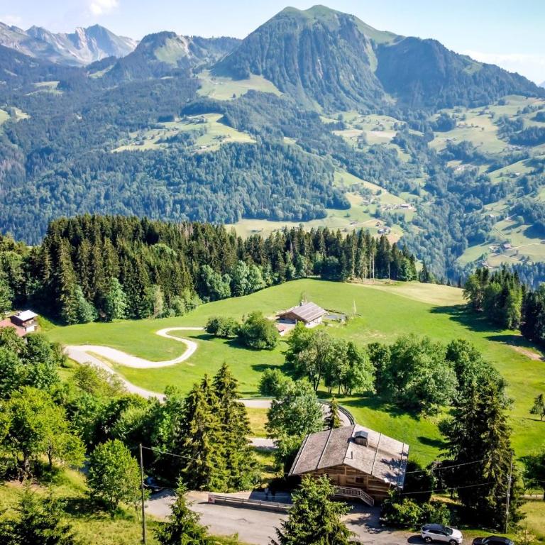 Slow Chalet Archange Authentique Familial vue montagne 5 min des pistes - Chalet - 49