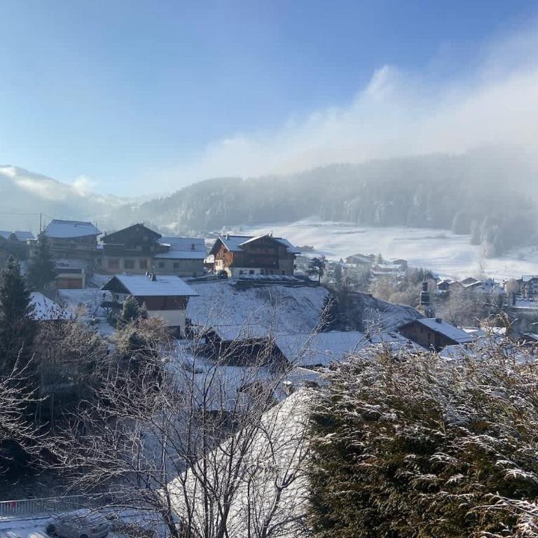 Lovely Apt Sleeps 5 Easy Access to Morzine - Appartamento - 25