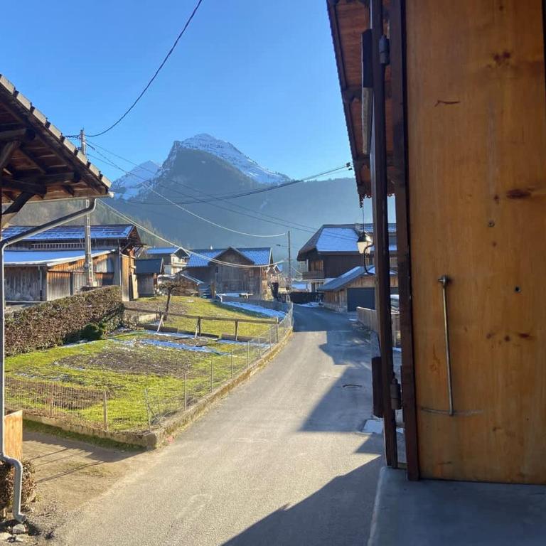 Lovely Apt Sleeps 5 Easy Access to Morzine - Appartamento - 38