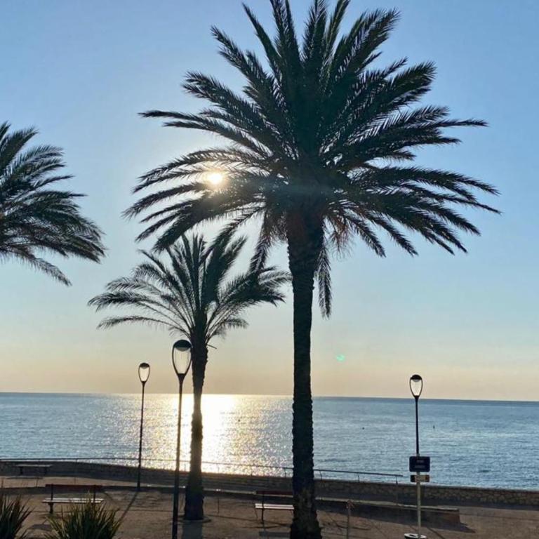Fully equipped beachfront studio in the heart of the city center bd Leclerc - Studio - Vue sur Mer - 14