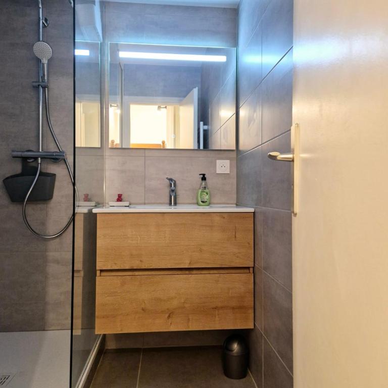 Séjour nature et ski au Revard Terrasse plein sud accès pistes - Appartement - 10