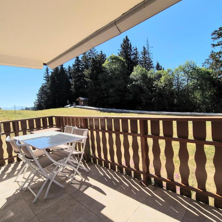 Superbe appartement au pied des pistes -Le chamois - Appartement 1 Chambre - 5