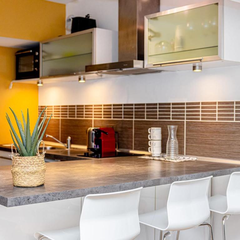 Le Pierre Percée Appartement cosy au cœur dOrléans - Appartement - 5
