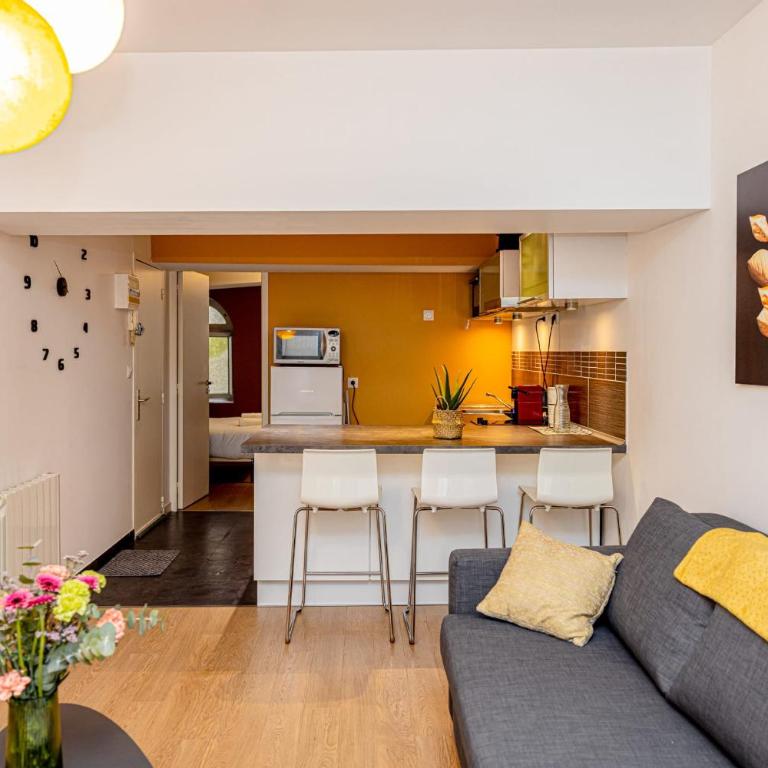 Le Pierre Percée Appartement cosy au cœur dOrléans - Appartement - 15