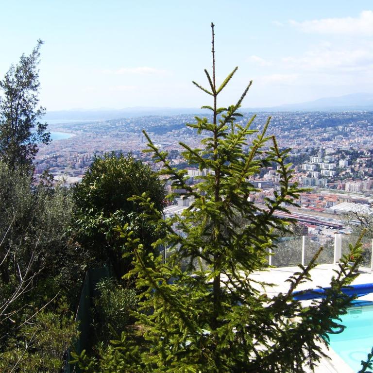 Les lilas blancs - Appartement avec Vue sur la Montagne - 19