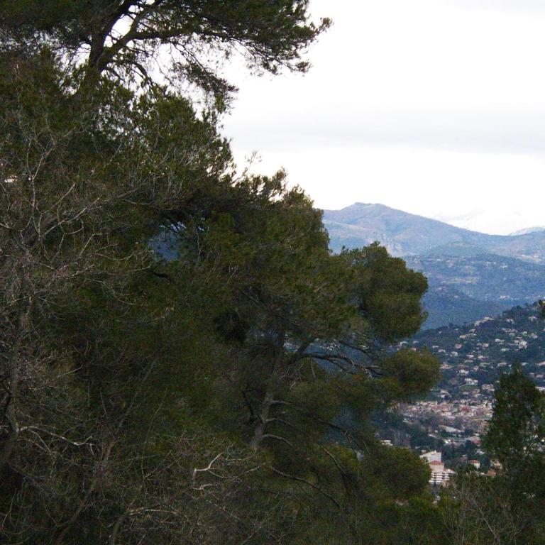 Les lilas blancs - Appartement avec Vue sur la Montagne - 21