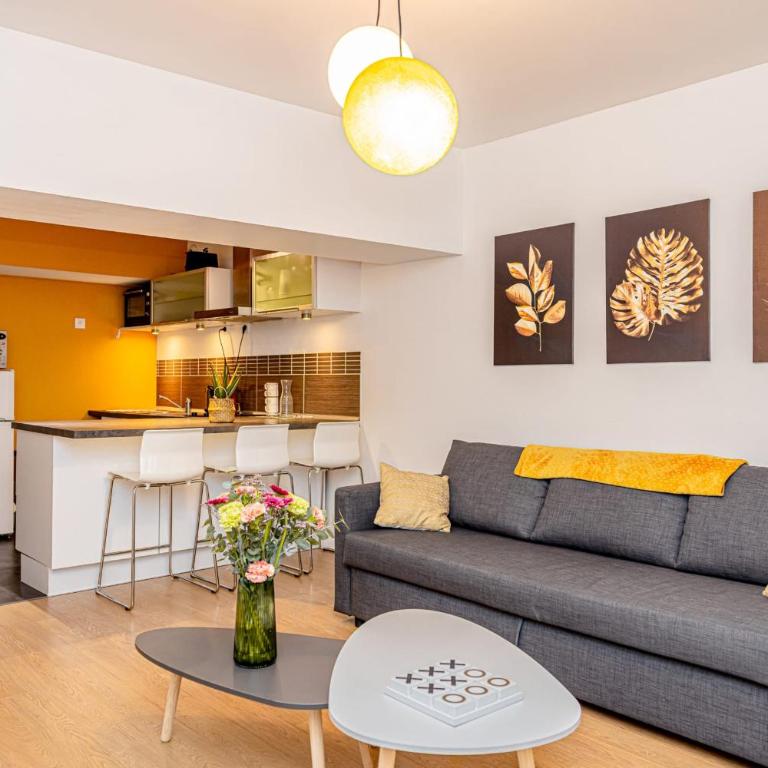 Le Pierre Percée Appartement cosy au cœur dOrléans - Appartement - 21