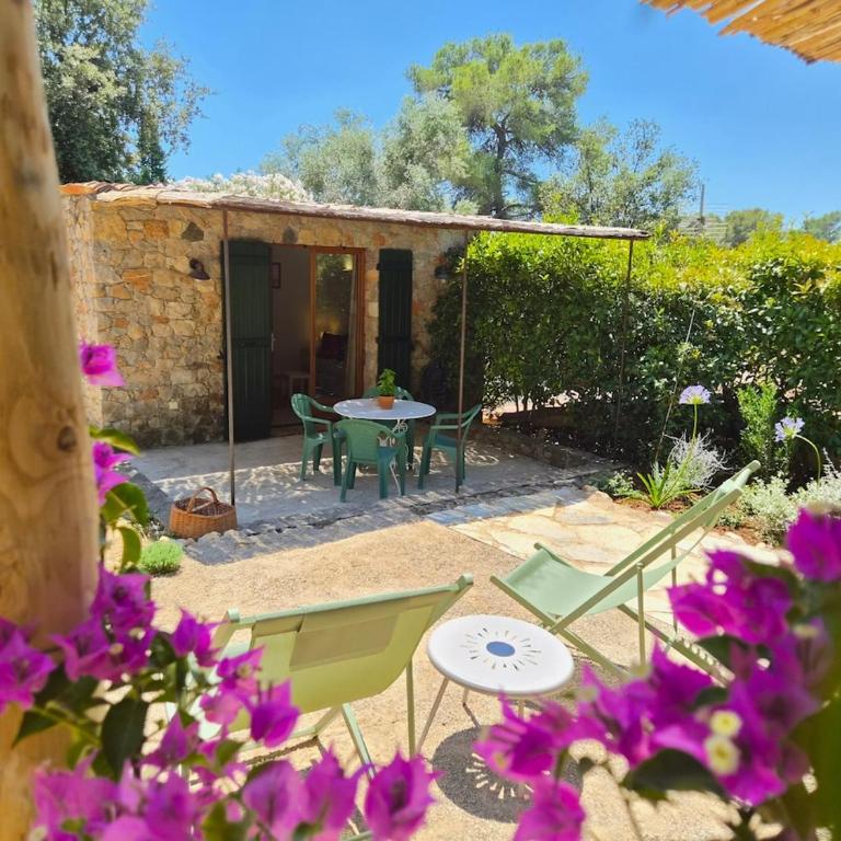 Studio en pierre avec jardin et parking privé à Saint-Paul-de-Vence - Haus mit 1 Schlafzimmer - 38