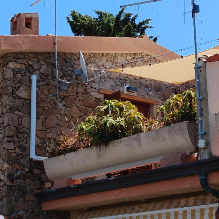 Perla marina San Teodoro - Haus mit 2 Schlafzimmern - 44