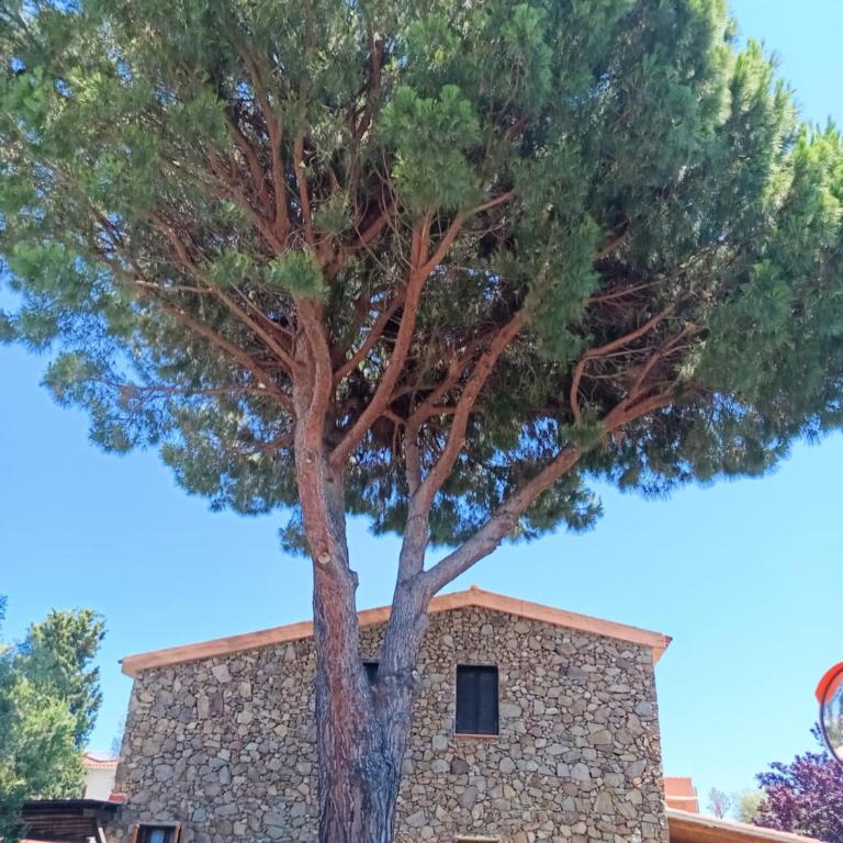 Perla marina San Teodoro - Haus mit 2 Schlafzimmern - 45