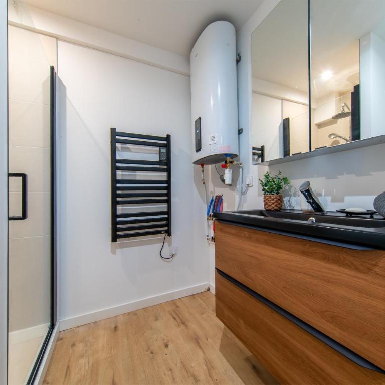 Le Cocon du Centre - Appt au cœur de Poitiers - Appartement - 5