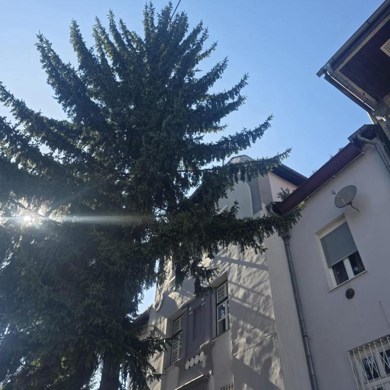 Art Sarajevo - Apartman sa 1 Spavaćom Sobom - 7