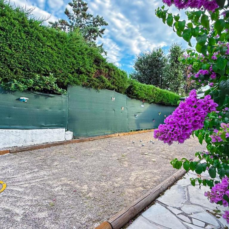 Villa Caraïbes - Studio - 5