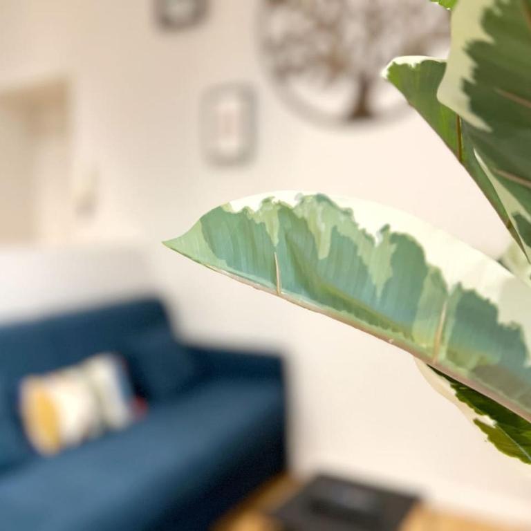 BeauConcept, Centre ville - Apartment mit 1 Schlafzimmer - 36