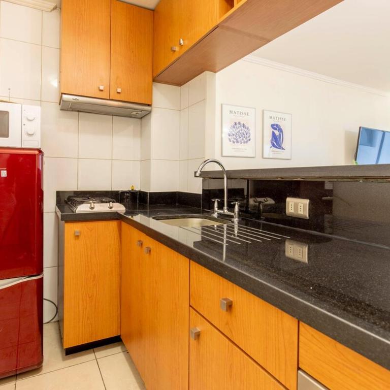 Departamento Peter, gran ubicacion Lastarria - Two-Bedroom Apartment - 19