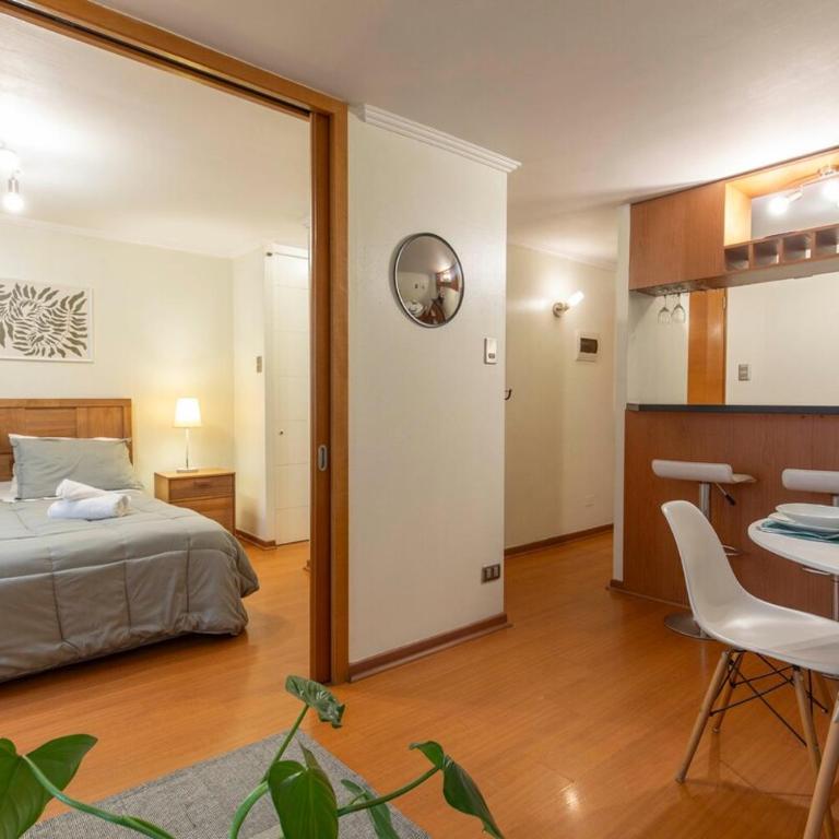 Departamento Peter, gran ubicacion Lastarria - Two-Bedroom Apartment - 21