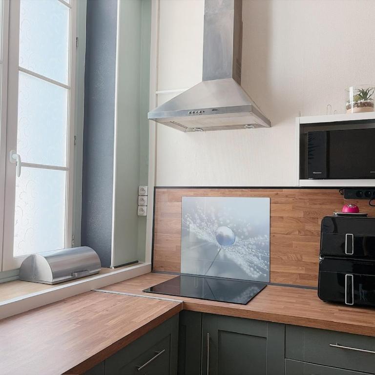 Cozy apartment, gym, heart of Cité - Appartement 1 Chambre - 11
