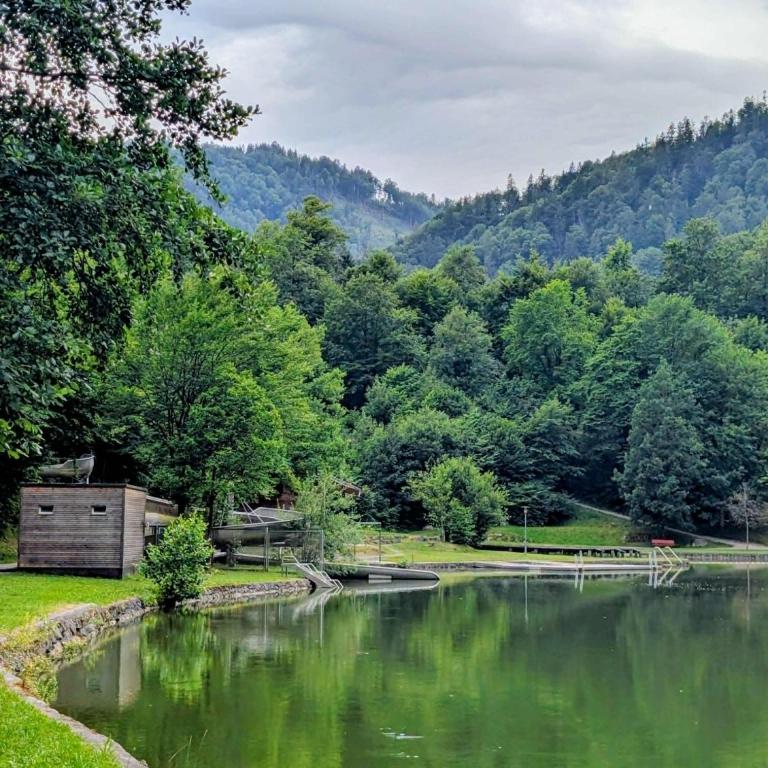 FeWo JoJo am Luegsteinsee mit traumhaftem Kaiserblick - Apartamento de 1 dormitorio - 27