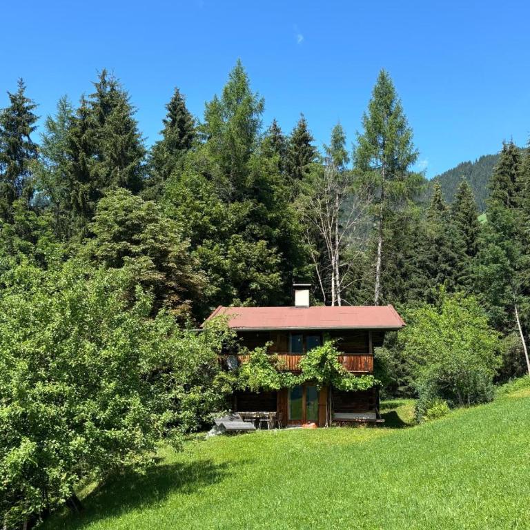 Weinrebenhütte Wildschönau - Haus mit 3 Schlafzimmern - 1