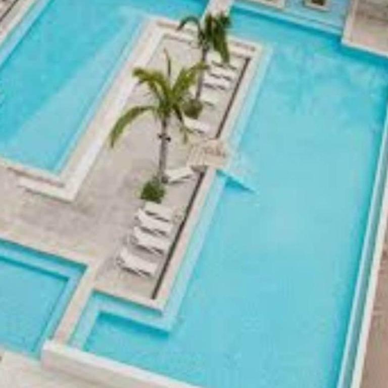 PROMO Beautiful beachfront Apt with pools, jacuzzi, gym - Appartement 1 Chambre - 39