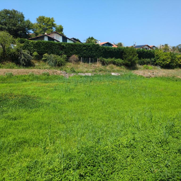 Charmant Appartement avec Terrasse extérieure - Appartamento con 2 Camere da Letto - 4
