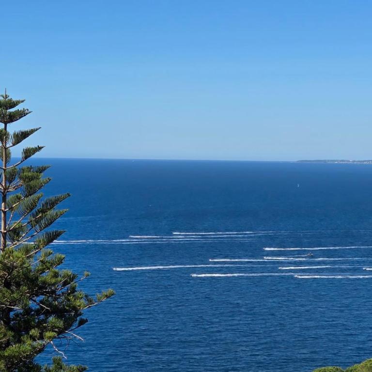 06DB Magnificent flat with incredible view Mont Boron - Appartamento - 48