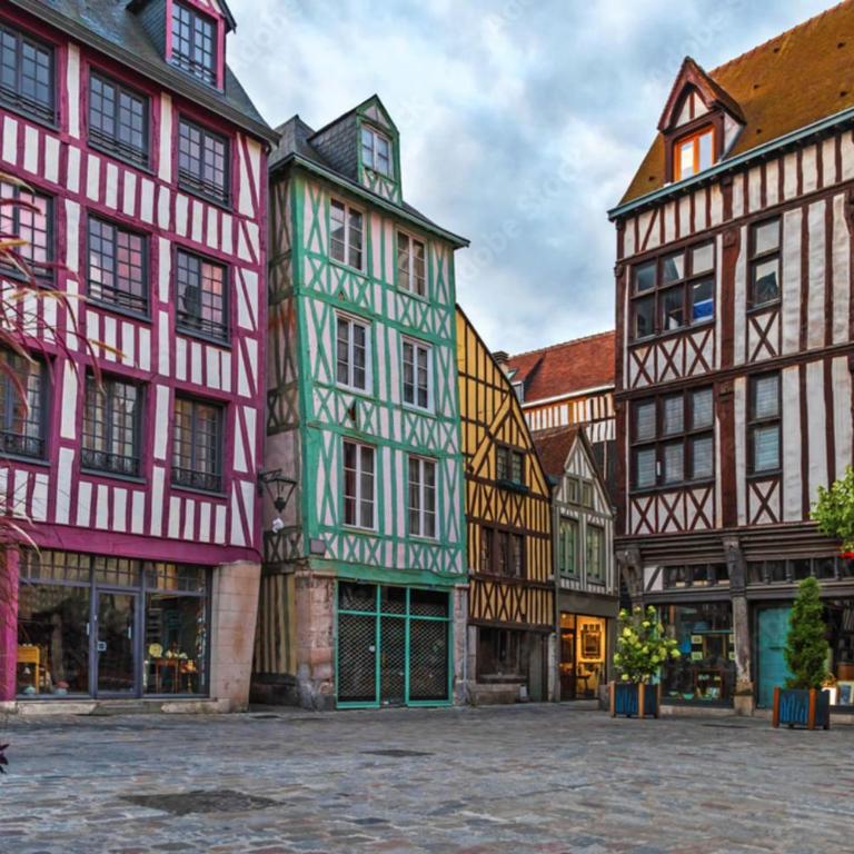 Bienvenue à LOlive votre écrin vert nature au cœur de Rouen - Appartamento - 28