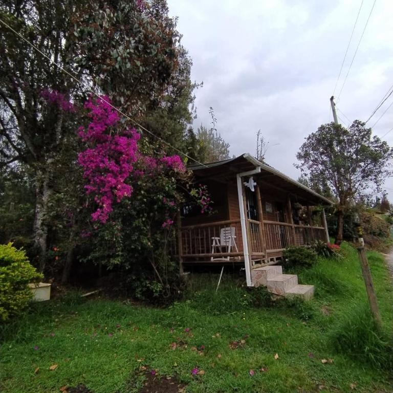 La Cabaña de Chia - Casa de 2 dormitorios - 1