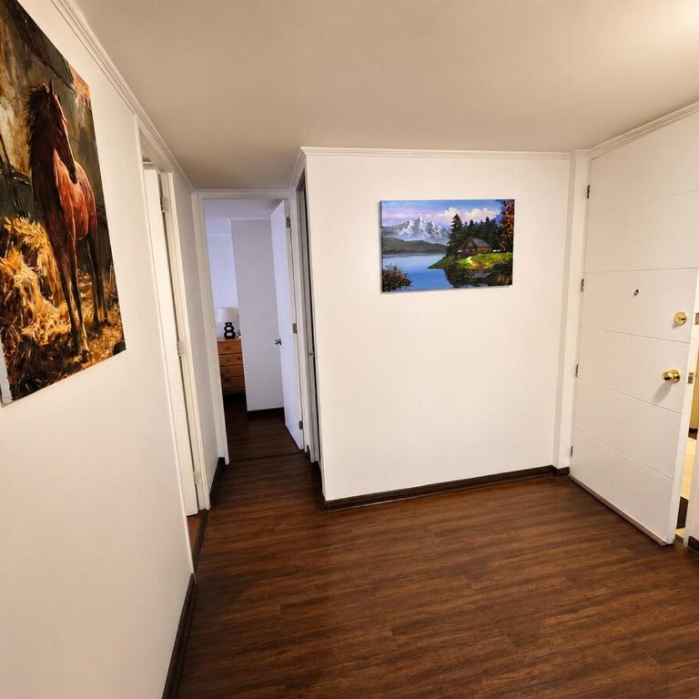 Modern 2 Bedroom, 2 Bathroom, Fully Equipped Downtown Santiago - Two-Bedroom Apartment - 14