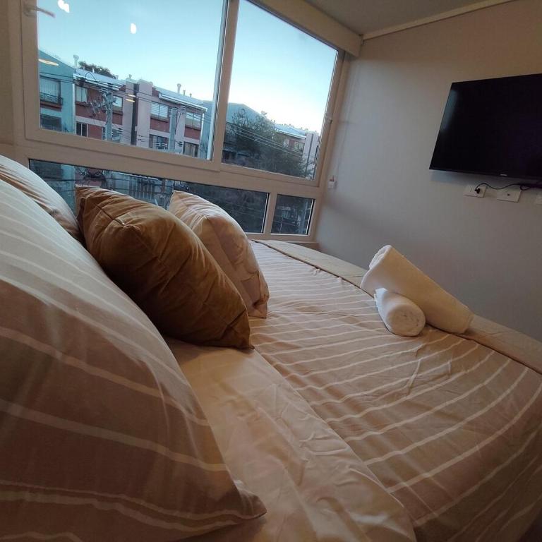 Movistar Arena Metro Parque O'Higgins 2 personas D427 - One-Bedroom Apartment - 6