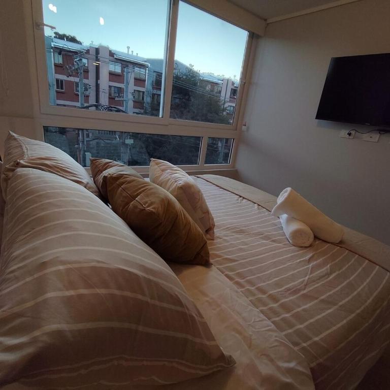 Movistar Arena Metro Parque O'Higgins 2 personas D427 - One-Bedroom Apartment - 18