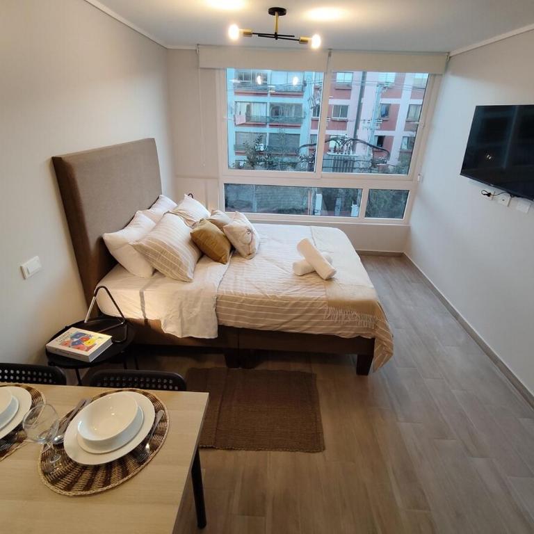 Movistar Arena Metro Parque O'Higgins 2 personas D427 - One-Bedroom Apartment - 30
