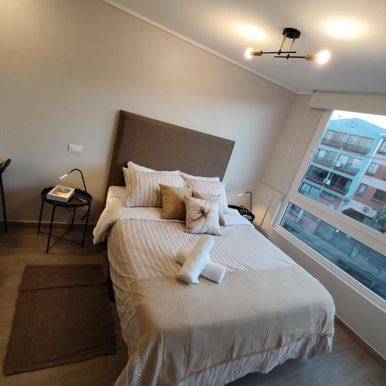 Movistar Arena Metro Parque O'Higgins 2 personas D427 - One-Bedroom Apartment - 36