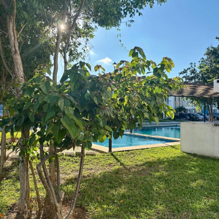 Yaakuna House Playa del Carmen - Haus mit 1 Schlafzimmer - 11