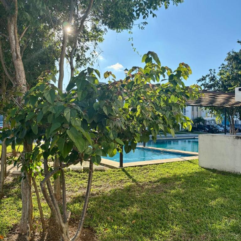 Yaakuna House Playa del Carmen - Haus mit 1 Schlafzimmer - 77