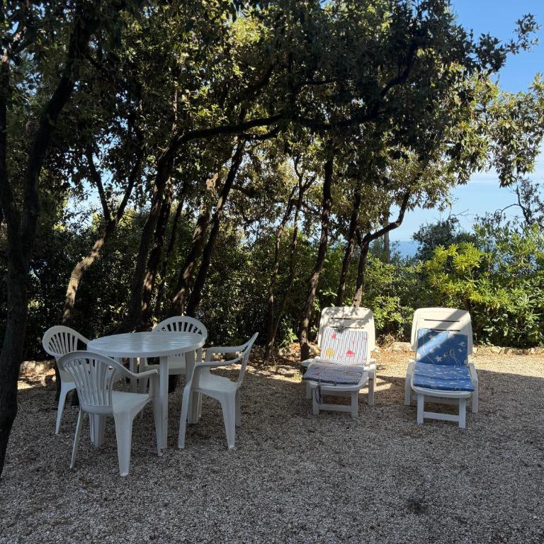 S374 - Sirolo, bilocale con esclusiva vista mare - Apartamento de 1 dormitorio - 1